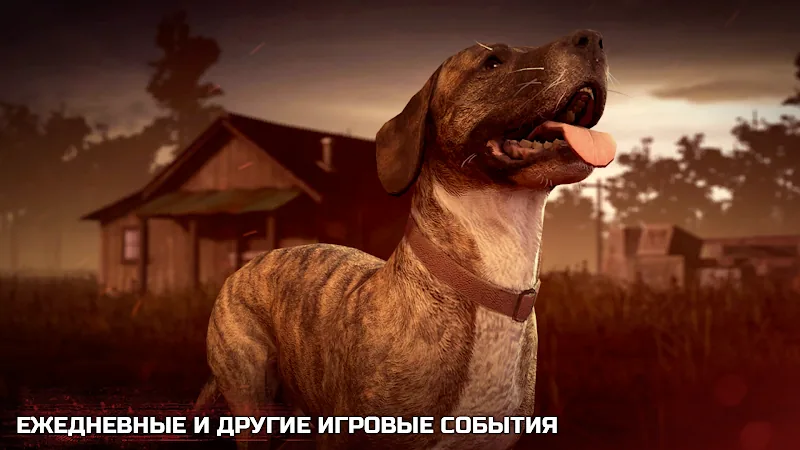 Скриншот Into the Dead 2 5