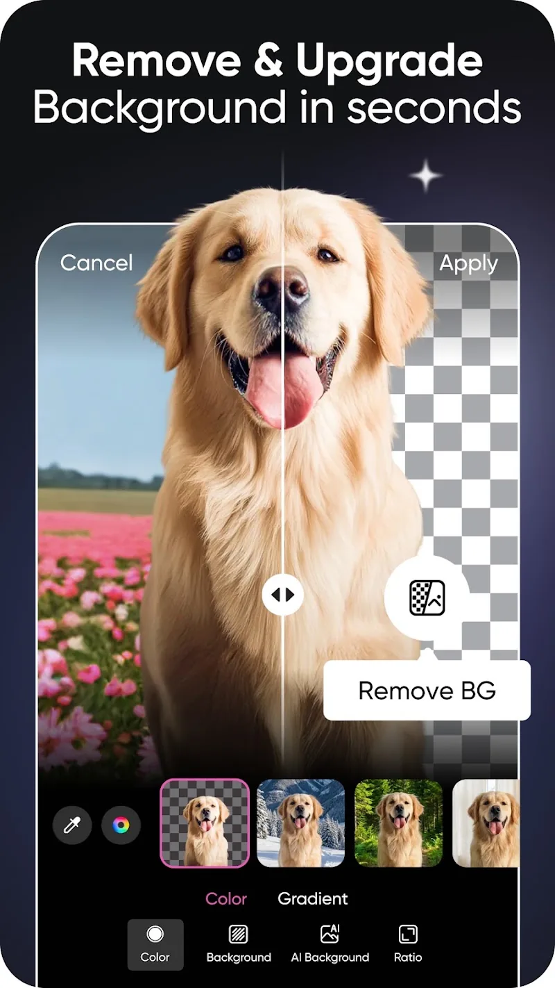 Скриншот PicsArt 4