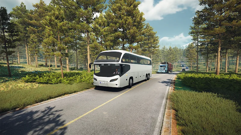 Скриншот Bus Simulator: EVO 6