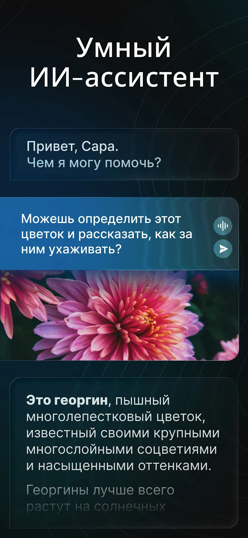 Скриншот AI Chatbot - Nova 2