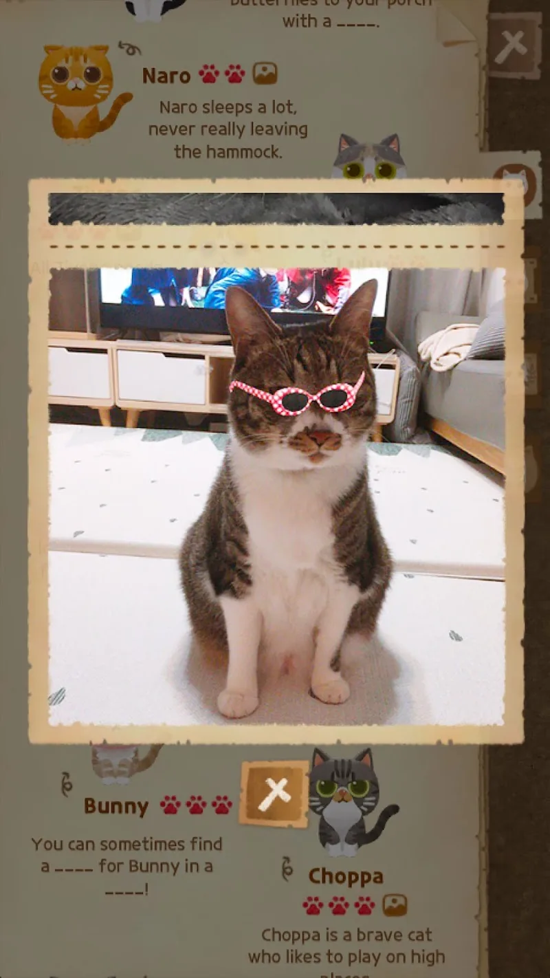 Скриншот Secret Cat Forest 6