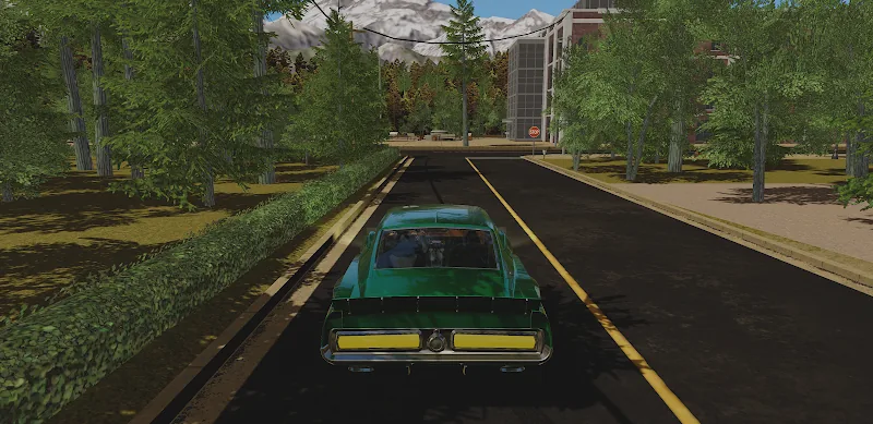 Скриншот CPM Garage 3