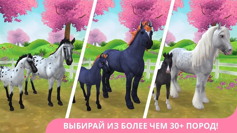 Скриншот Star Stable Online 2