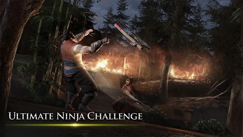 Скриншот Takashi: Shadow Ninja Warrior 3