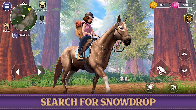Скриншот Star Equestrian - Конюшня 6