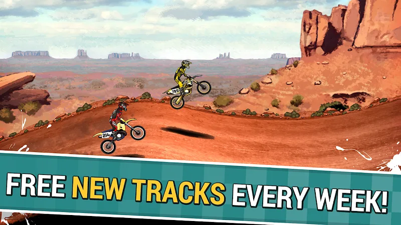 Скриншот Mad Skills Motocross 2 5