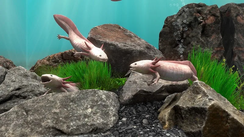 Скриншот Fish Farm 4: 3D Аквариум 2