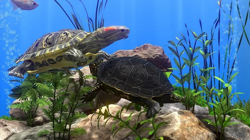 Скриншот Fish Farm 4: 3D Аквариум 3