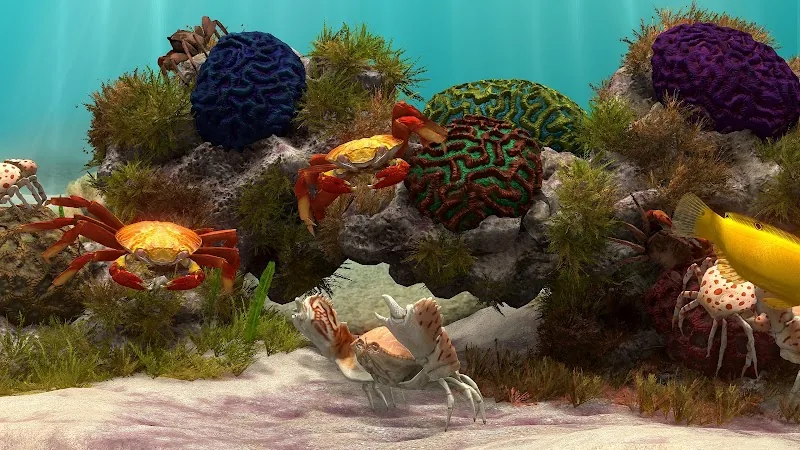 Скриншот Fish Farm 4: 3D Аквариум 4