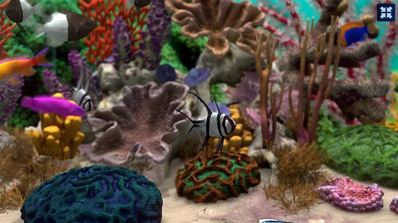 Скриншот Fish Farm 4: 3D Аквариум 6
