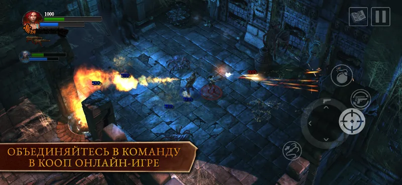 Скриншот Lara Croft: Guardian of Light 6