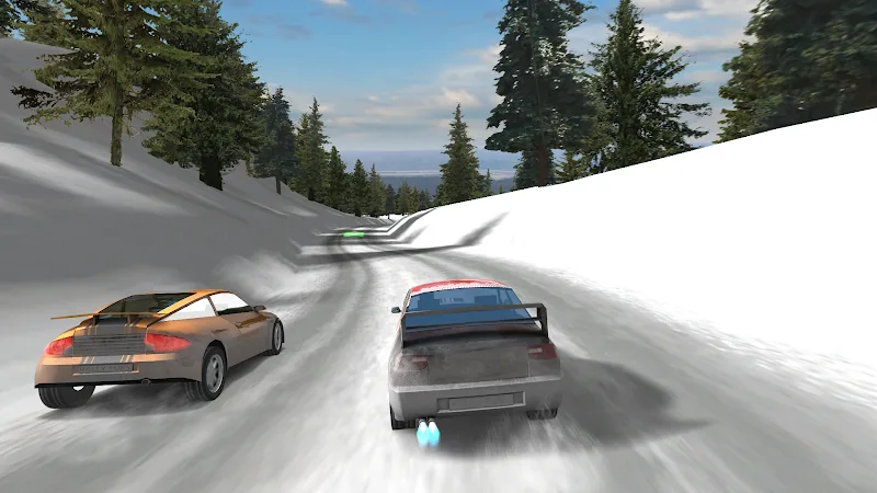 Скриншот Rally Fury 4