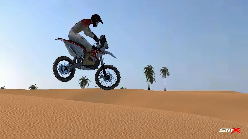 Скриншот SMX: Supermoto Vs. Motocross 6