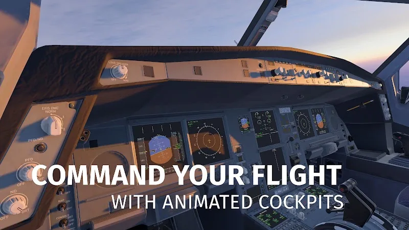 Скриншот Infinite Flight 6